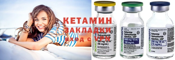 прущие грибы Заводоуковск