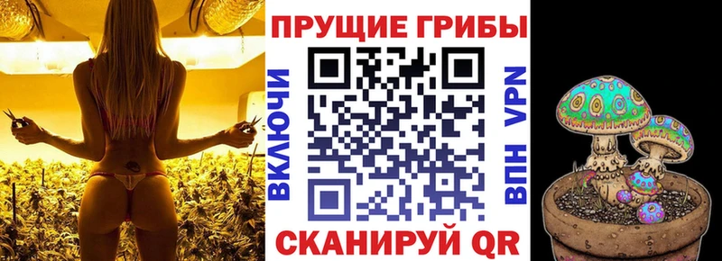 наркотики  Очёр  Псилоцибиновые грибы MAGIC MUSHROOMS 